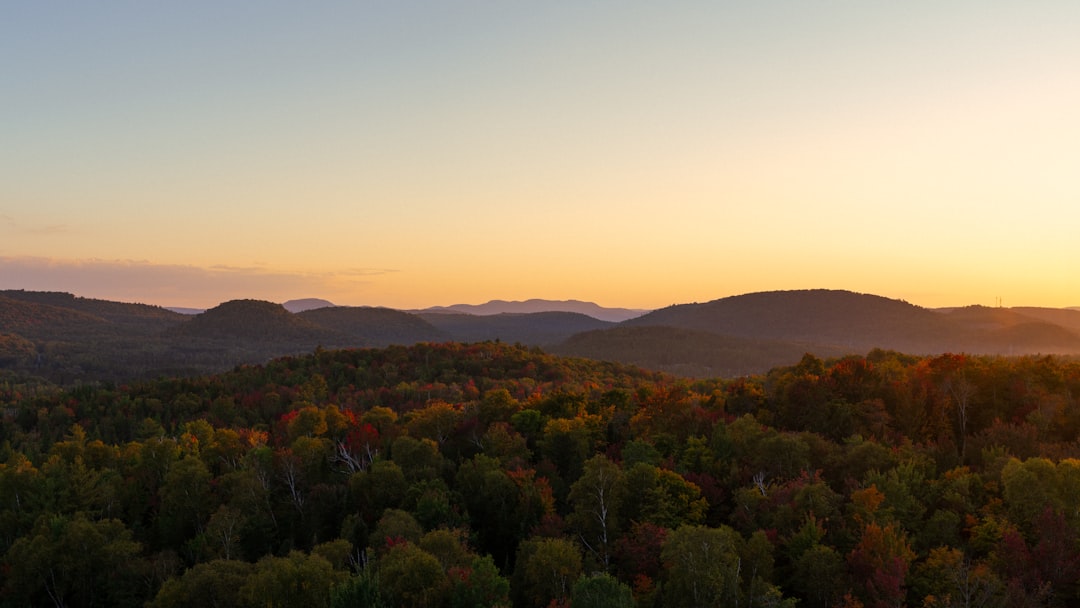 Canada in December: Christmas Markets, Early Ski Season, and Magical Winter Cities
