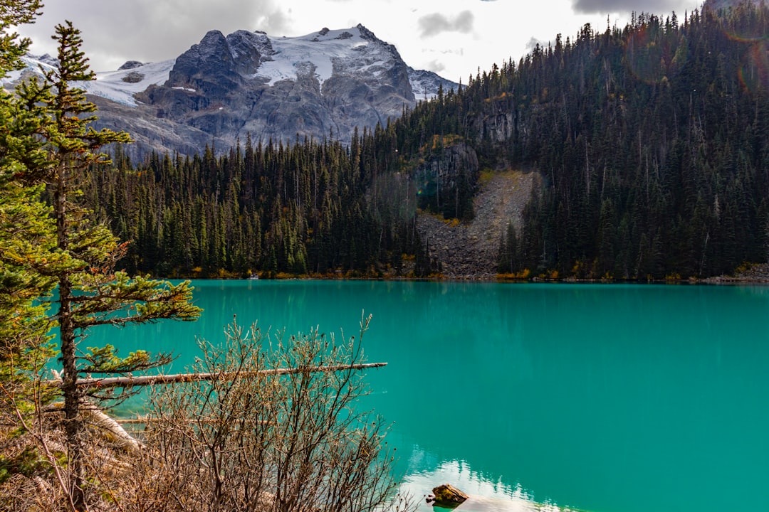 Canada in February: Winter Carnivals, Valentine's in Montreal, and the Last Good Skiing