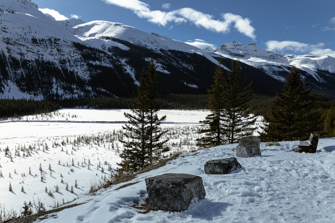 Canada in September: Fall Foliage, Salmon Runs, and the Best Month in the Rockies