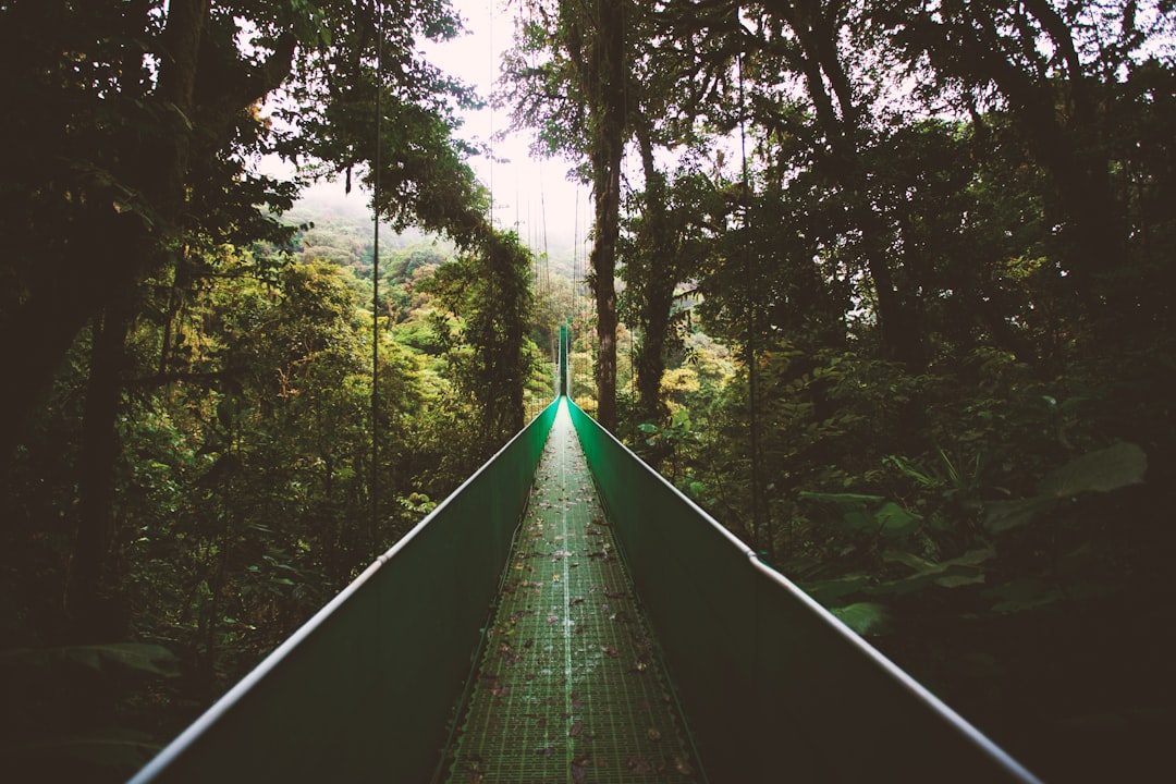 Costa Rica in August: Two Humpback Seasons Overlap, Turtle Nesting Peaks, and Waterfall Season