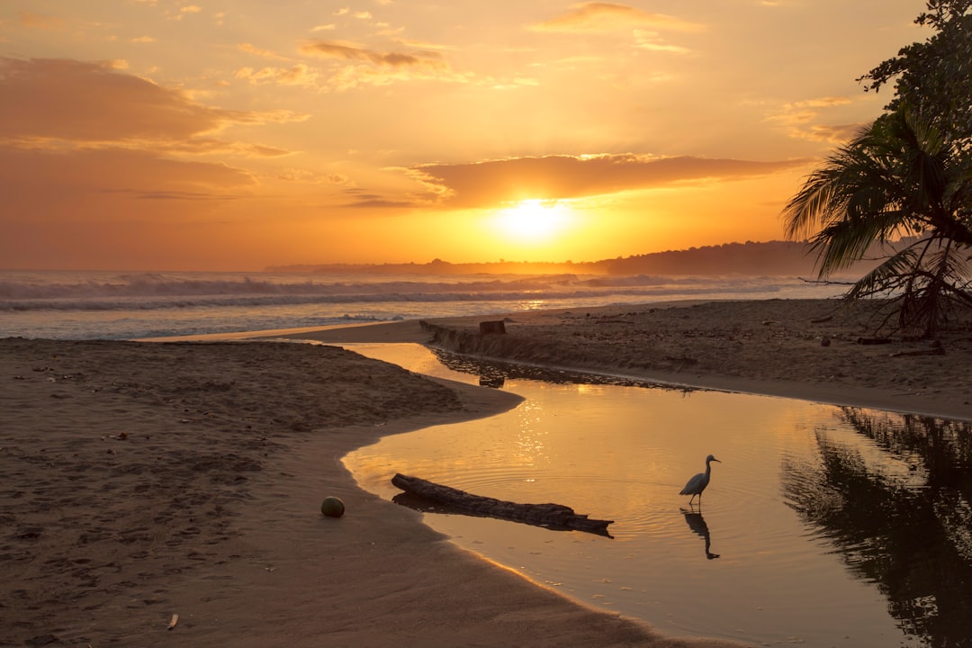 Best Time to Visit Costa Rica: Month-by-Month Guide