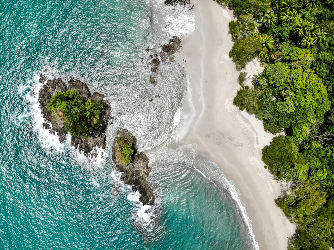 Costa Rica in December: Holiday Peak, Dry Season Established, and Leatherback Season Peak