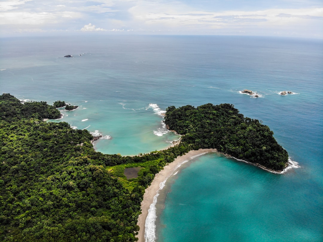 Costa Rica in February: Dry Season Continues, Whale Sharks at Cocos, and Quetzal Pre-Season