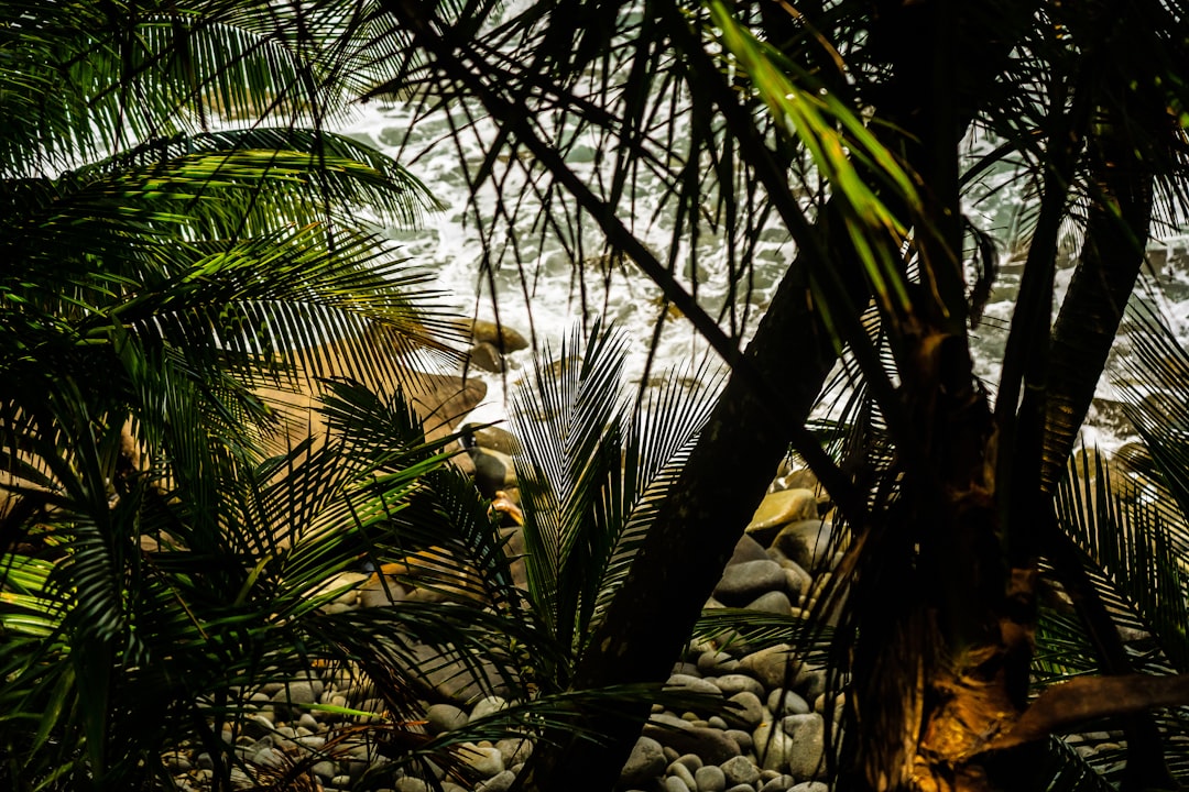 First Time in Costa Rica? Everything You Need to Know