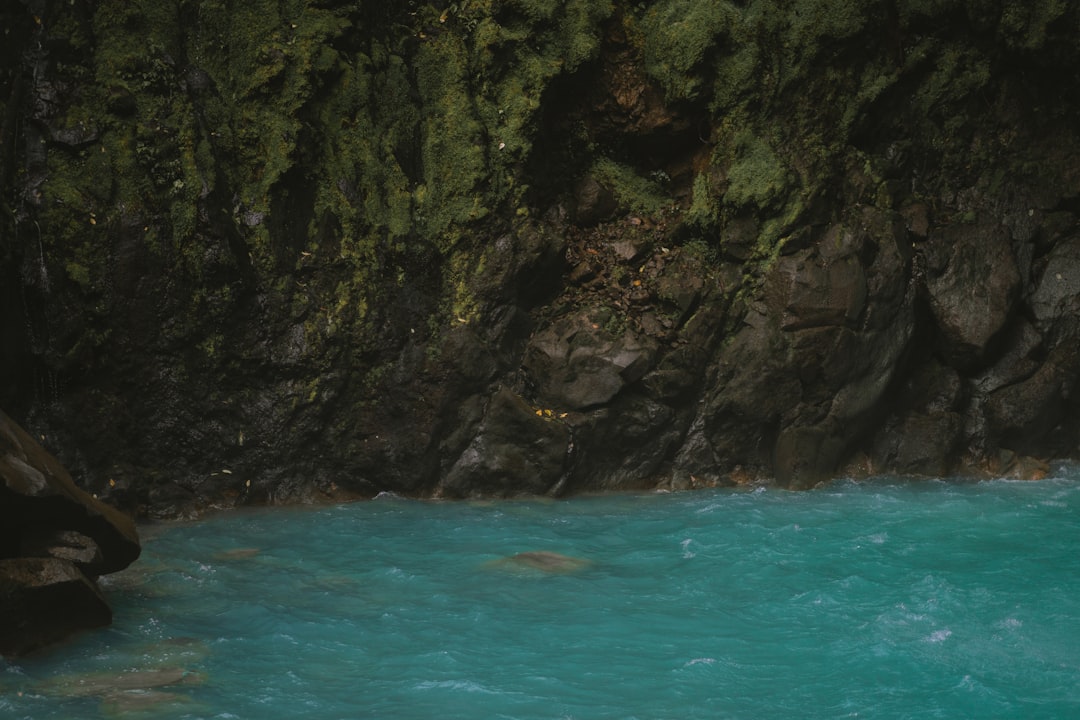 Costa Rica in January: Dry Season Peak, Pacific Beaches, and Guanacaste's Finest Month