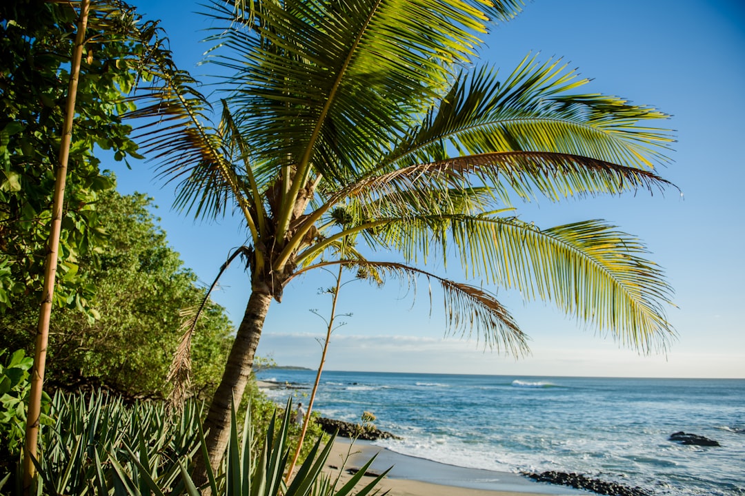 Costa Rica in July: Peak Turtle Season, Humpback Whales, and Green Season Mid-Point