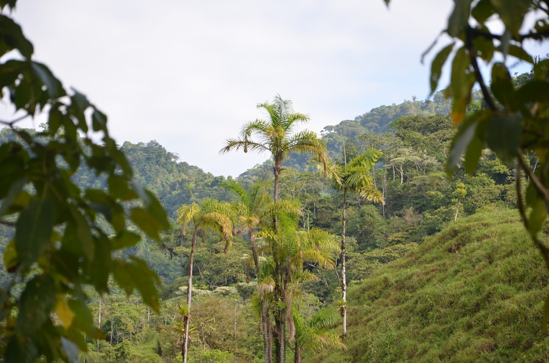 Osa Peninsula: Costa Rica's Last Great Wilderness