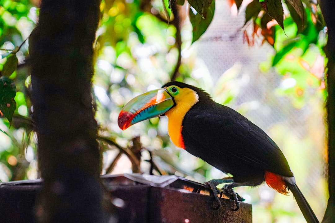 Costa Rica Practical Guide: Visas, Getting Around, Costs & Safety