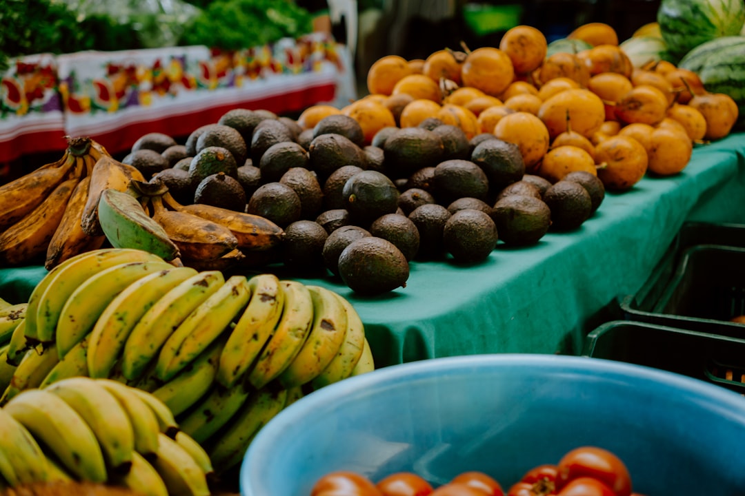 San José: Costa Rica's Capital as a Base for Exploration