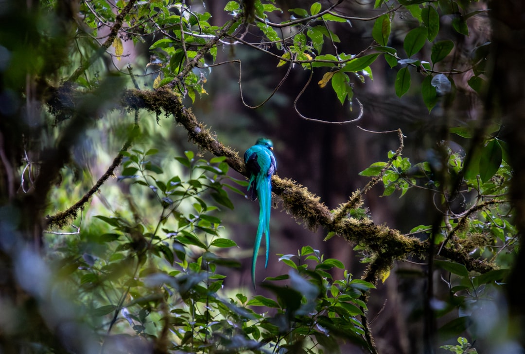 Costa Rica in September: Quietest Month, Lowest Prices, and Serious Wildlife