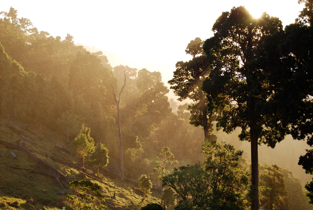 Costa Rica Travel Budget: How Much Does Costa Rica Actually Cost?
