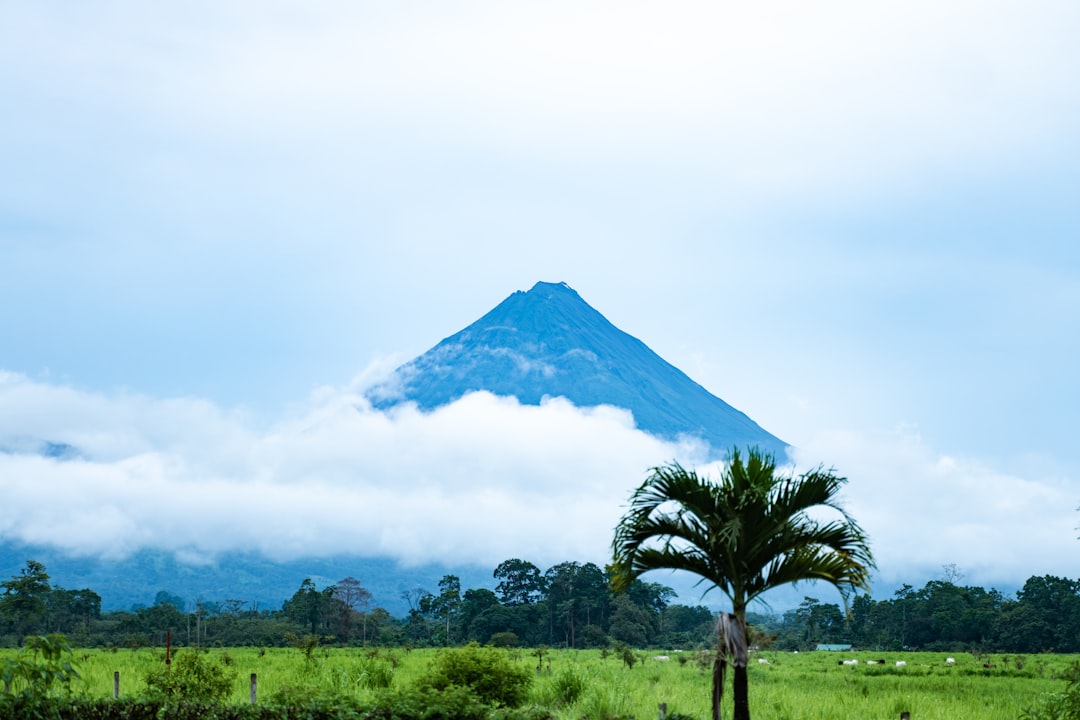 Costa Rica Travel Guide: Pura Vida, Wildlife & the Pacific Coast