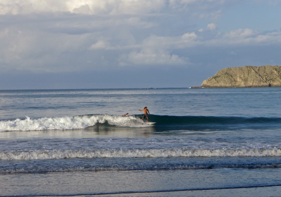 Costa Rica Wildlife Guide: What to See, Where & When