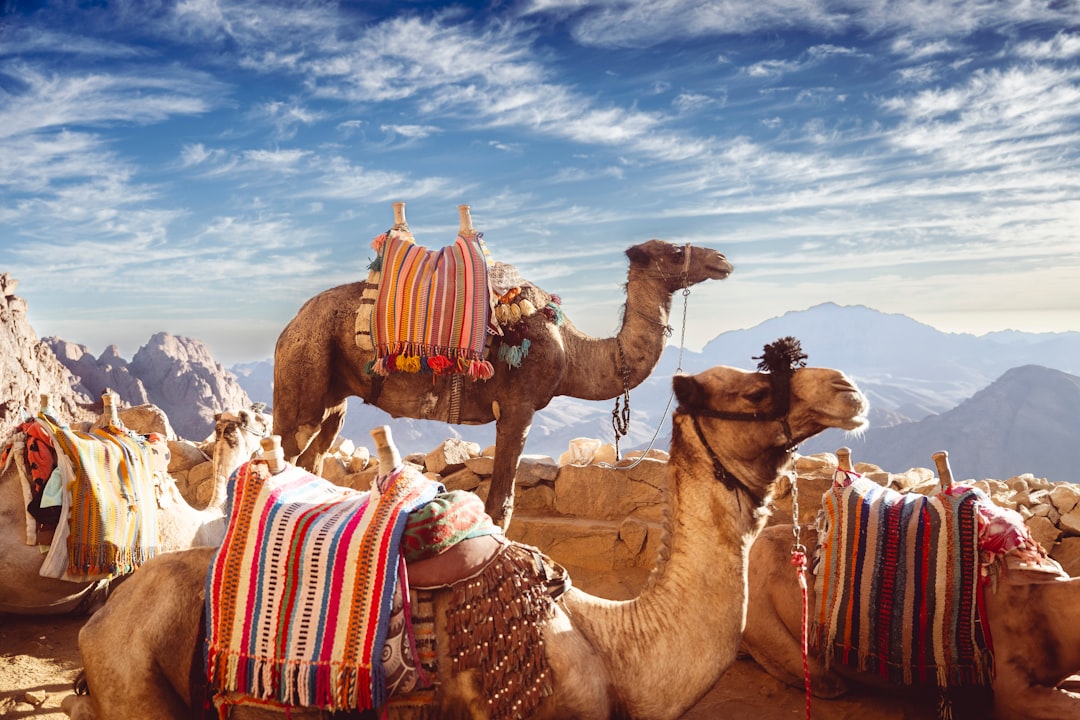 Best Time to Visit Egypt: Month-by-Month Guide