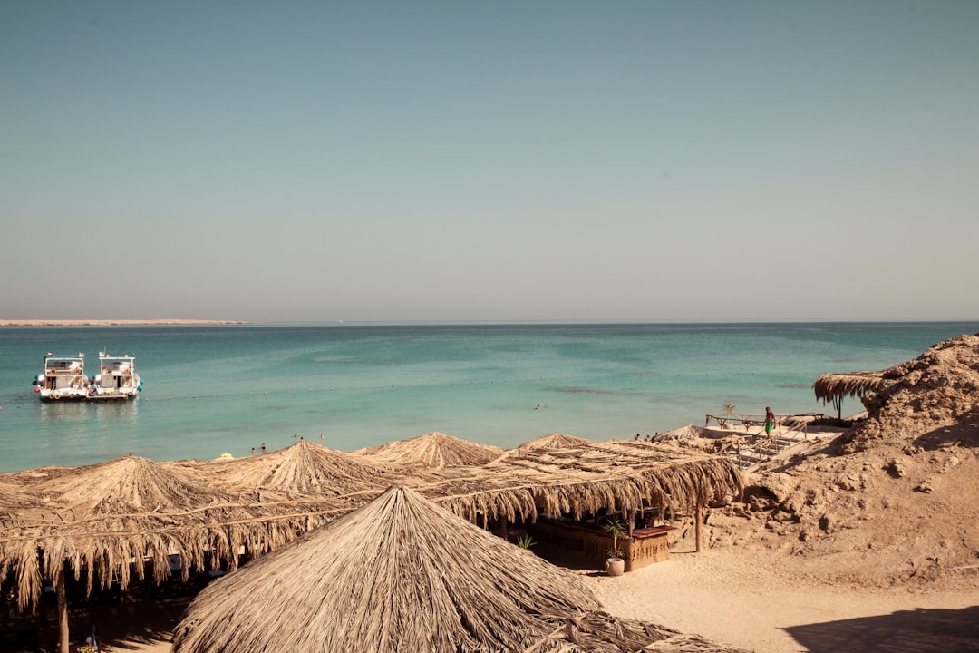 Cairo Budget Guide: What Everything Costs in Egypt