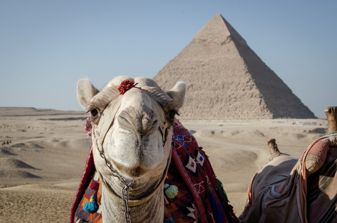 Coptic Cairo: Egypt's Christian Heritage