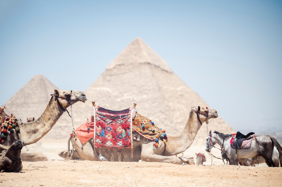 Day Trip from Cairo to Fayoum and the Valley of the Whales