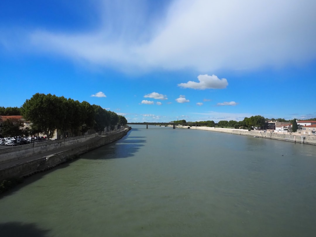 France in June: Lavender Starting, D-Day Anniversaries, and the Last Pre-Peak Month