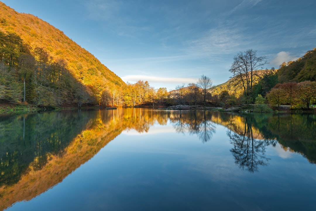 France in November: Beaujolais Nouveau, Burgundy Auction, and Truffles Begin