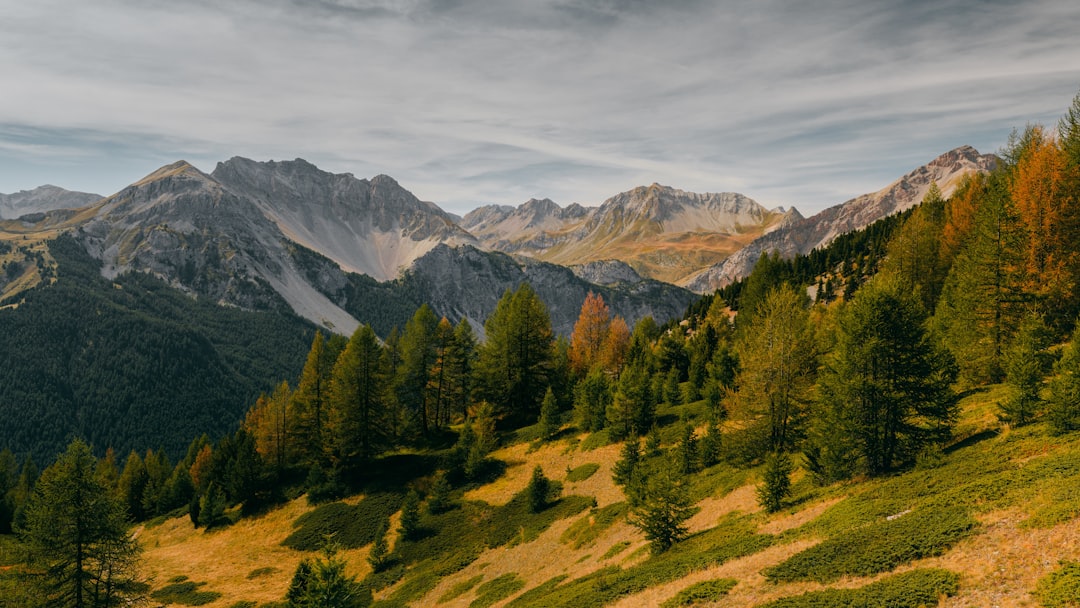 France in October: Autumn Colors, Wine Harvest Finale, and the Quietest Paris