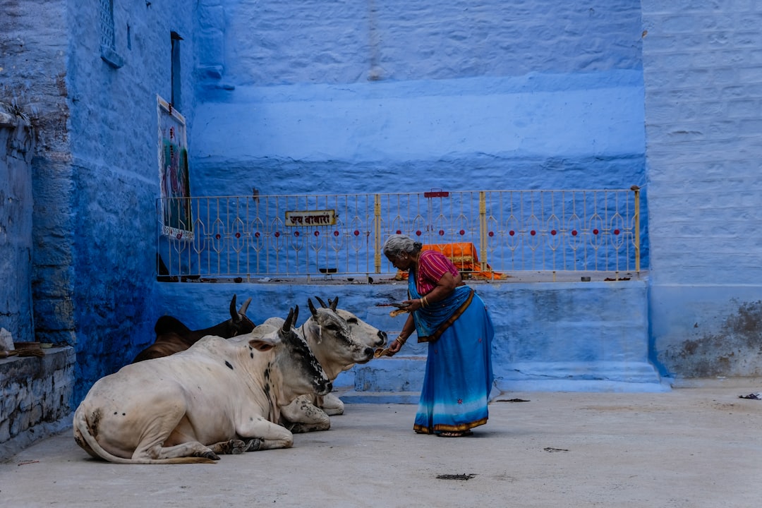 India in April: Hill Stations, South India, and the Last Window Before Summer Closes