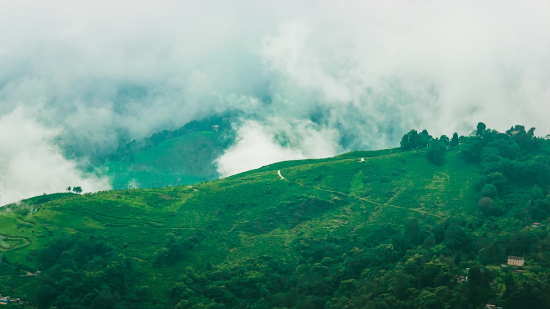 Kerala: Backwaters, Spices & the Garden State of India