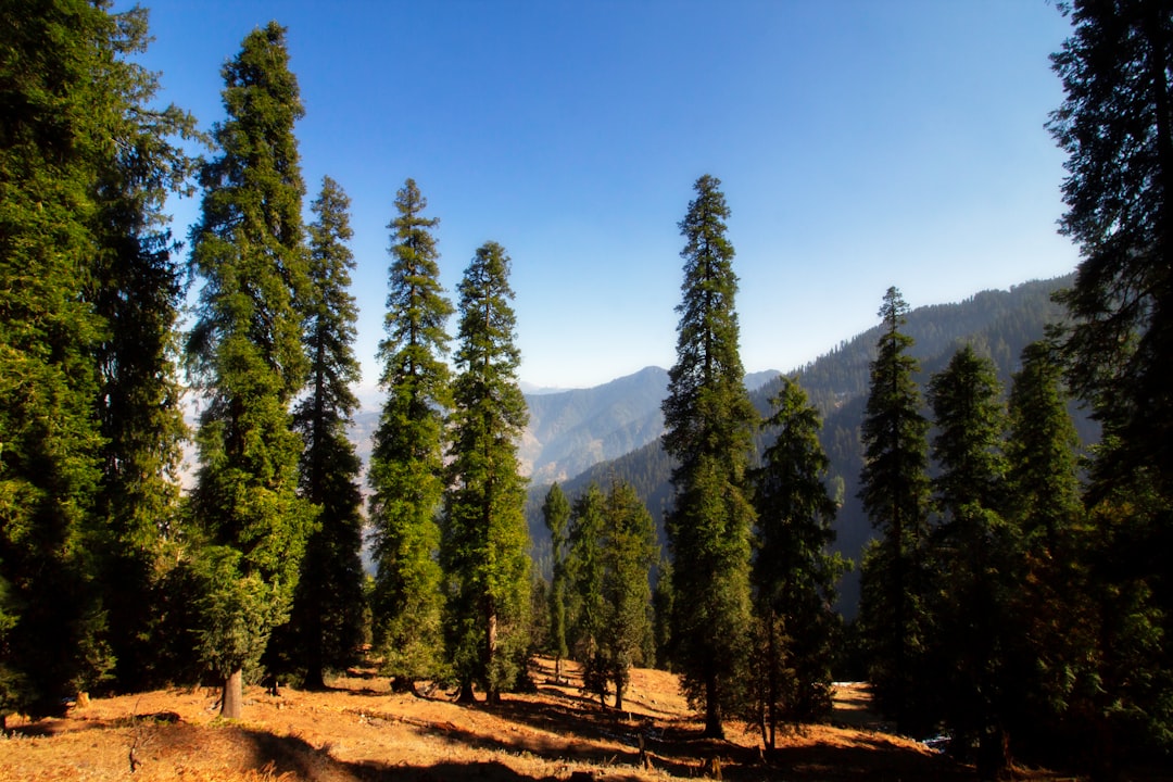 India in May: Himalayan Trekking Opens, Plains Are Brutal, Ladakh Awakens