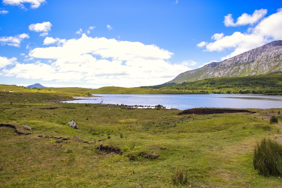 Ireland Food Guide: What to Eat, Where to Eat & the New Irish Food Scene