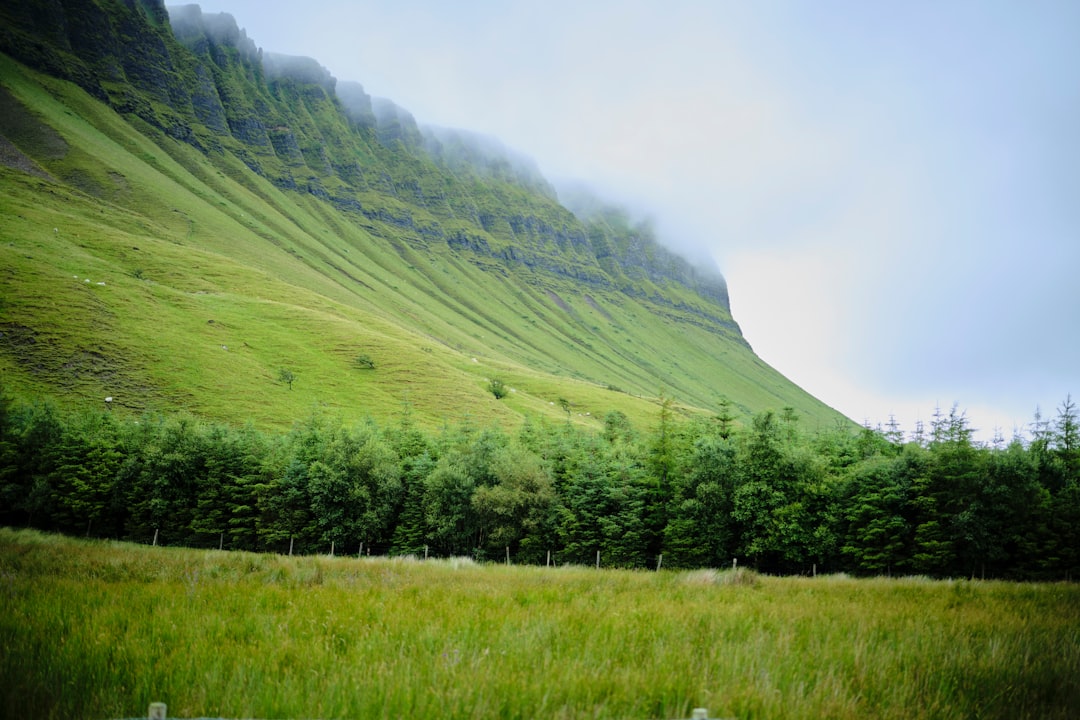 Ring of Kerry Driving Guide: The Complete Route Stop by Stop