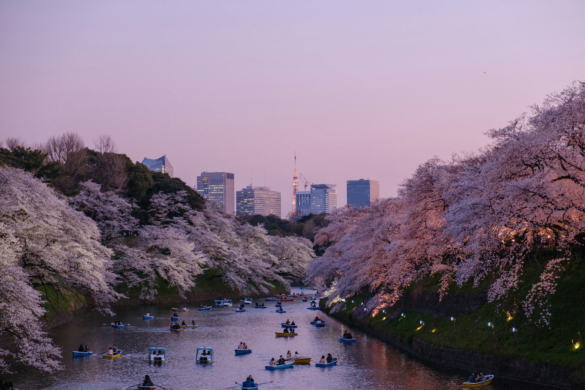 2 Weeks in Japan: The Itinerary That Actually Works