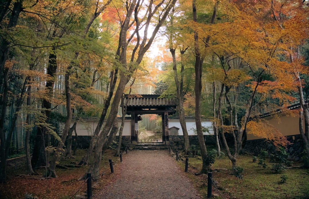 Narita and Haneda Airports: Getting Into Tokyo