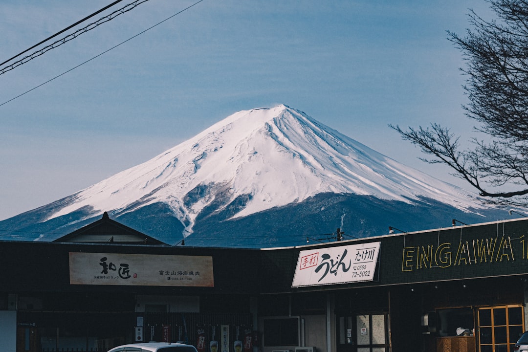 Bento Culture in Japan: A Guide to Train Lunches and Ekiben