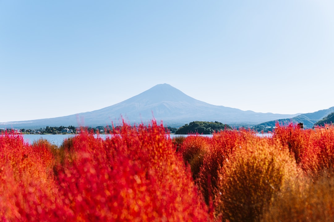 Japan on a Budget: What Things Actually Cost and How to Spend Less