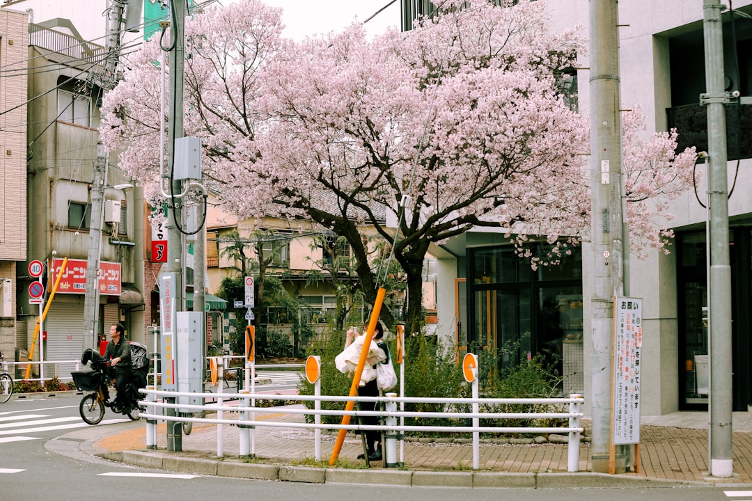 Jiyugaoka: Tokyo's Patisserie District