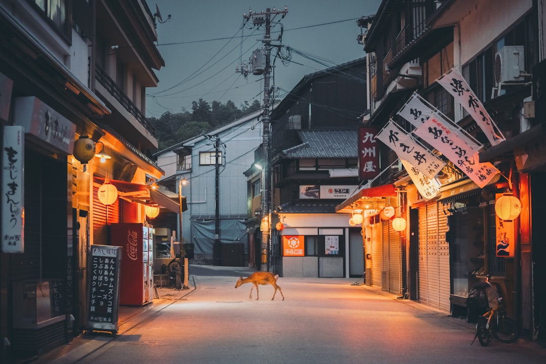 Kobe: Port City, Beef, and a Different Kind of Japan