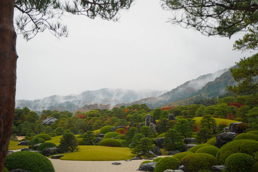 Japan in May: After the Crowds, Before the Rain