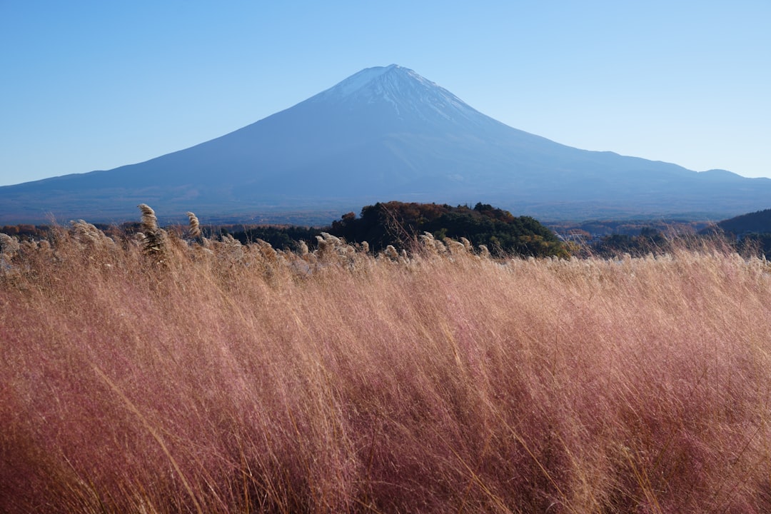 Naoshima: Japan's Art Island