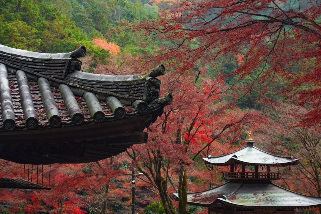 Onomichi: The Hillside City and the San'yo Coast