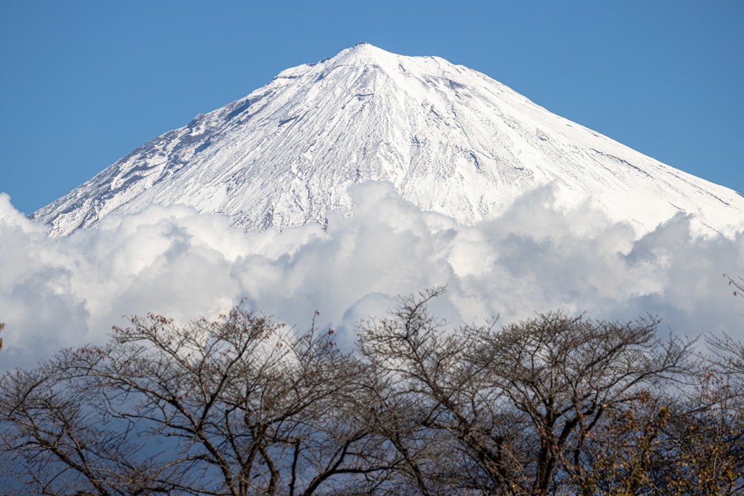 Japan Travel Practical Guide: Visas, SIM Cards, Money, and Everything Else