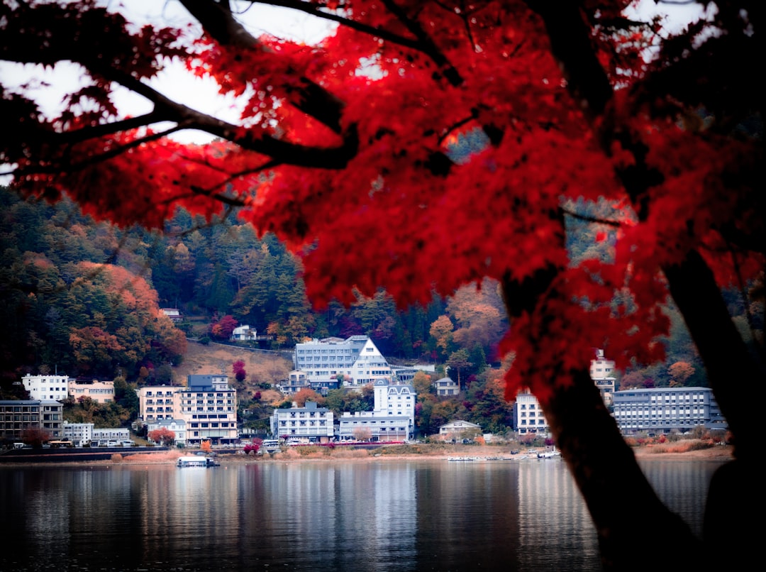 Samurai Japan: Where to Experience the Warrior Class