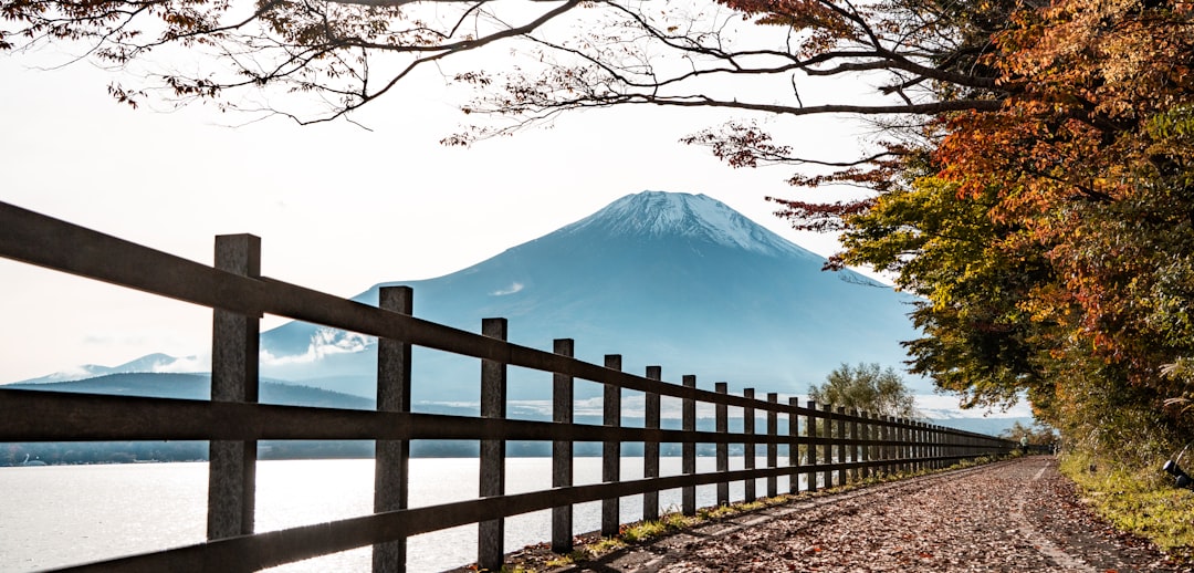 Shopping in Japan: Tax-Free, What to Buy, and the Best Stores