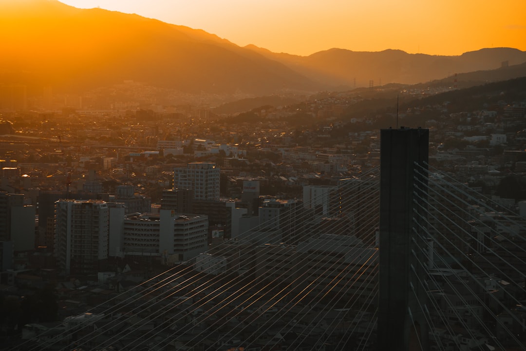 Japan in Summer: Heat, Festivals, and How to Handle Both