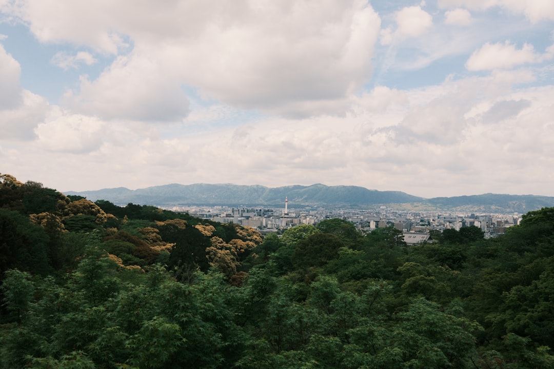 Tokyo Ueno: Museums, Cherry Blossoms, and Ameyoko Market