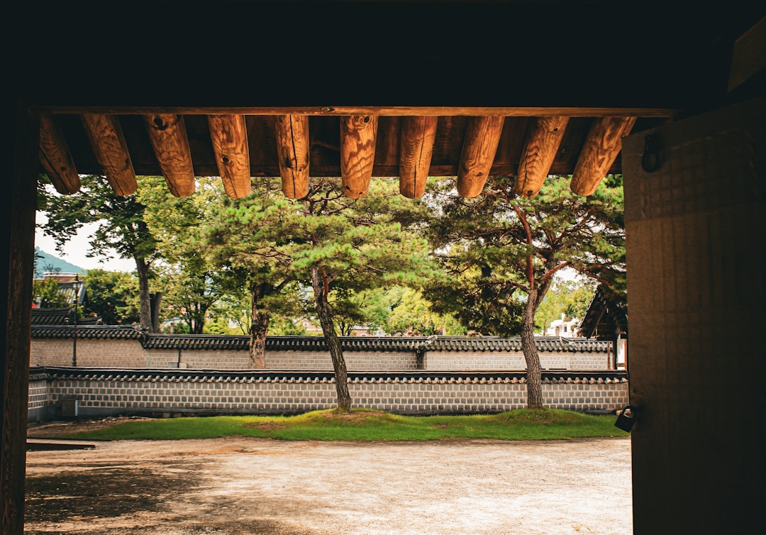 Japan vs South Korea: Which Should You Visit First?