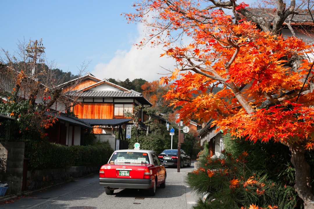 Wagyu in Japan: Kobe, Matsusaka, Omi — The Regional Beef Guide