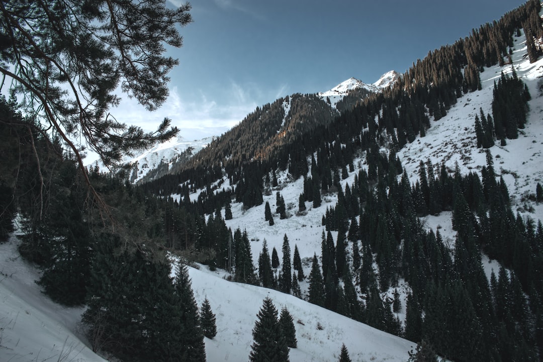 Kazakhstan in August: Tian Shan at Peak, Apple Country Awakening, and the Independence Countdown