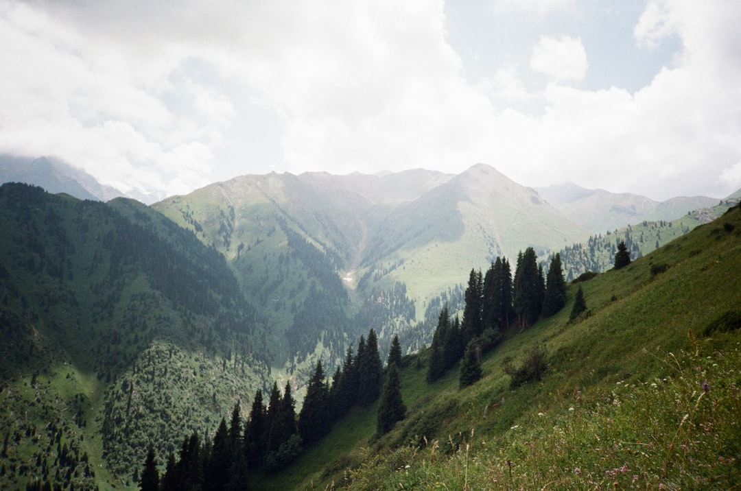 Kazakh Nomadic Culture Guide: Yurts, Eagle Hunting & Steppe Traditions