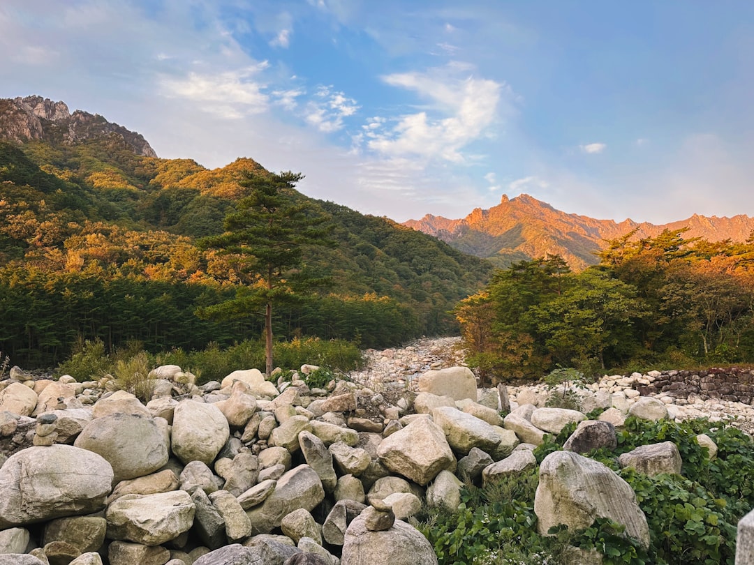 Korean Beauty: The K-Beauty Guide for Travelers
