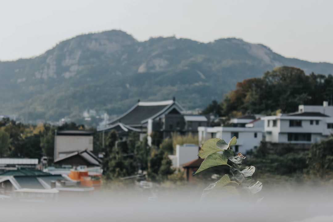 Busan: Korea's Coastal City in Full