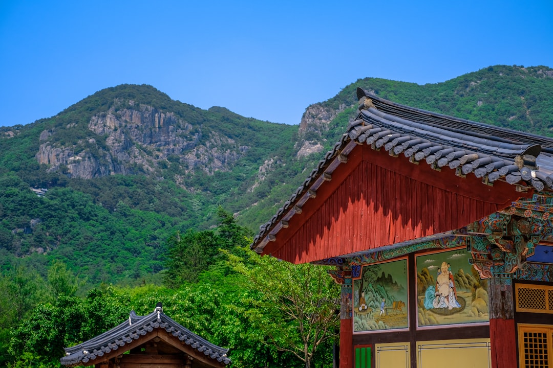 Busan Travel Guide: 3 Days in South Korea's Coolest City